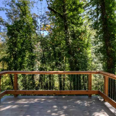 View from deck to surrounding forest.